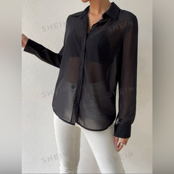 Extra Sheer Collared Button Up Blouse - Picture 4 of 6